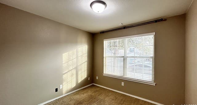 10319 Roadrunner Ridge — photo 3
