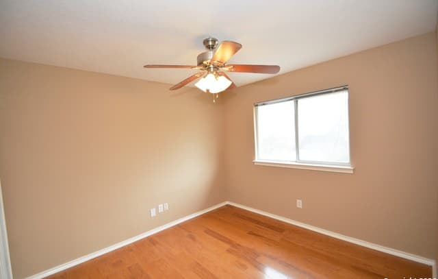 15310 Spring Land — photo 5