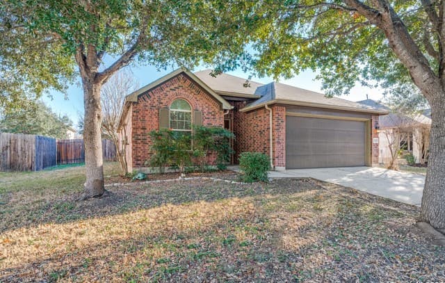 3125 Muntjac — photo 2