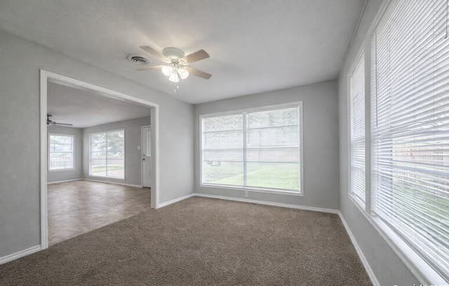 7318 Palm Park — photo 3