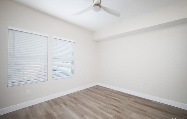 2-bedroom rental at 1644 Mistletoe Unit 101 in San Antonio, TX — photo 5