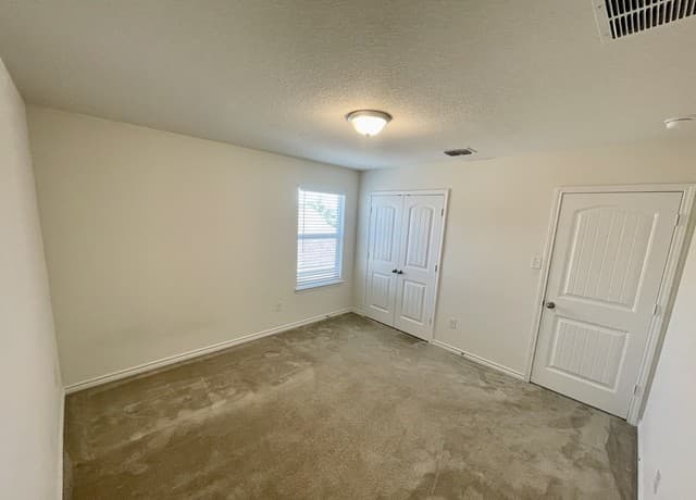 104 Black Scoter — photo 4