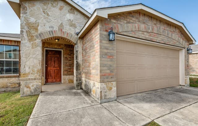 10810 Gunsel — photo 2