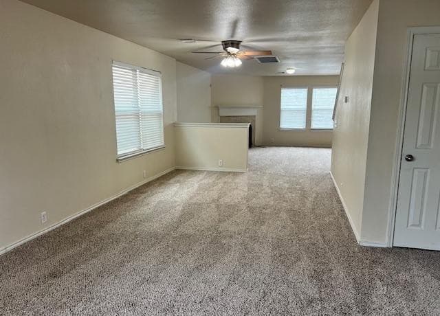 3618 Alpine Aster — photo 2