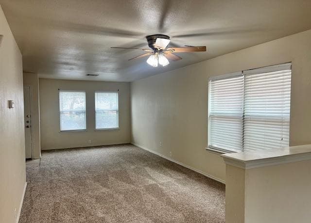 3618 Alpine Aster — photo 3