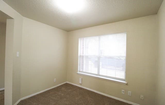 16122 Branching Oaks — photo 5