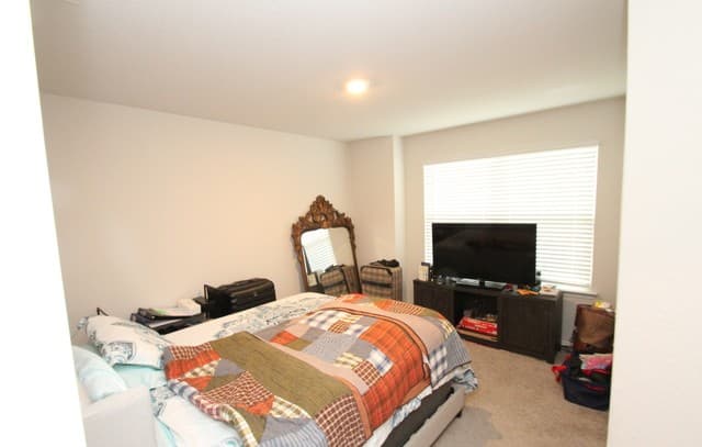 1042 Andean Emerald — photo 5