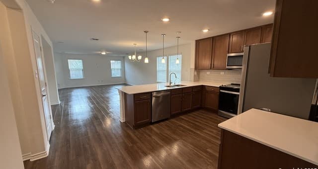 11331 Edelweiss — photo 2