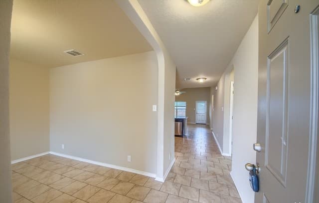 8934 Palmetto Falls — photo 2