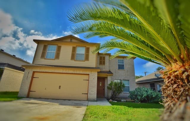 25907 Torch Lily — photo 2