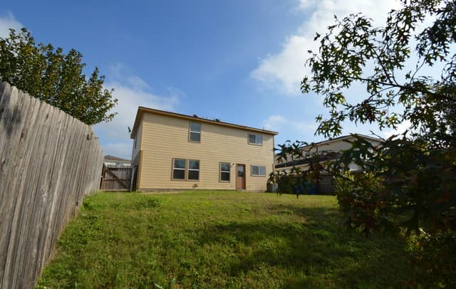 25907 Torch Lily — photo 4