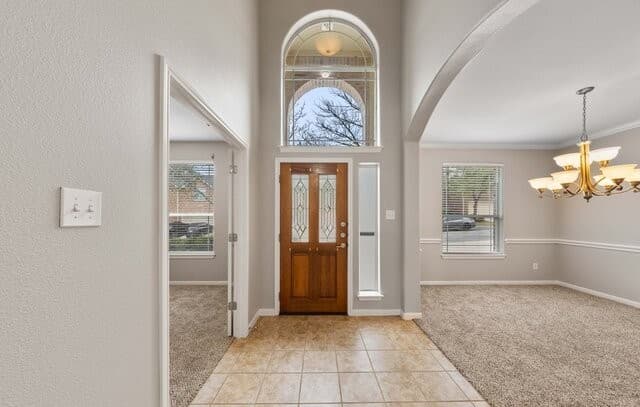 25723 Coleus — photo 4