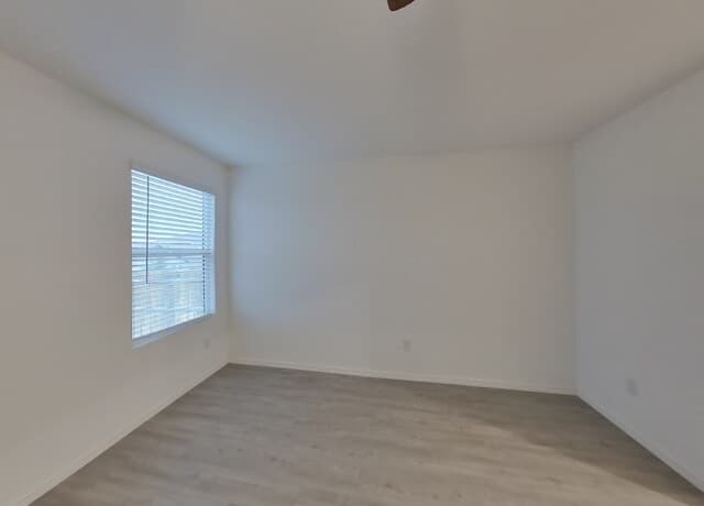 12911 Hyssop — photo 5