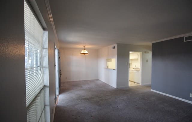 8401 N New Braunfels Unit 331 — photo 3