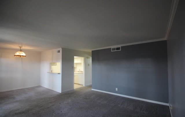 8401 N New Braunfels Unit 331 — photo 4
