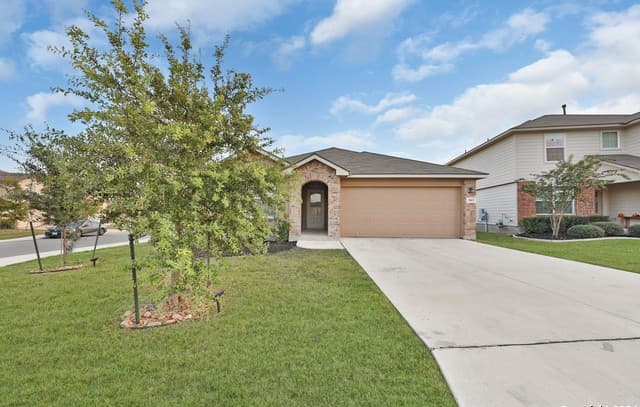 903 Red Merganser — photo 2