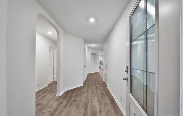 903 Red Merganser — photo 4