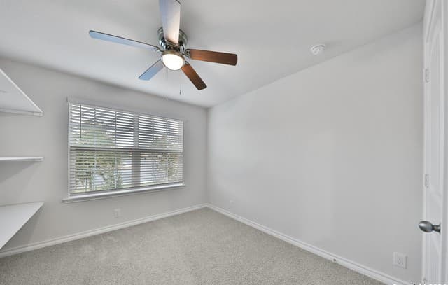 903 Red Merganser — photo 5