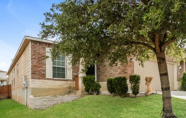 11323 Pink Star — photo 2