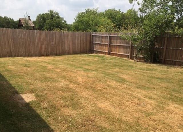 7527 Spanish Dagger — photo 2