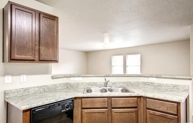 7531 Spanish Dagger — photo 2