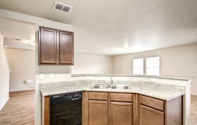 7531 Spanish Dagger — photo 4