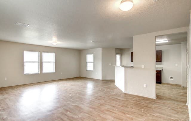 7531 Spanish Dagger — photo 5