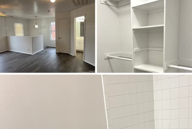 8006 Avellano — photo 4