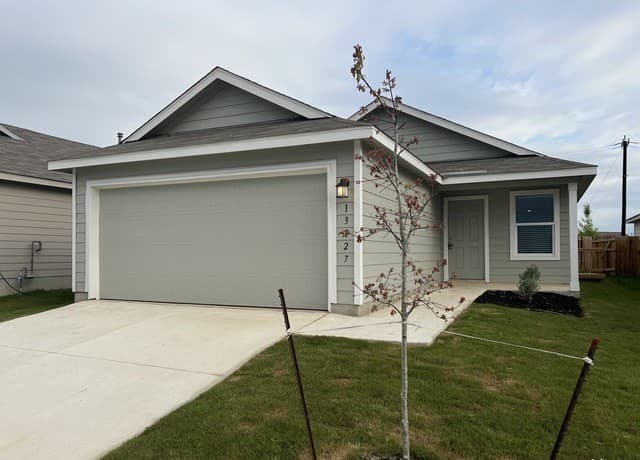 13927 Jersey Cow — photo 3