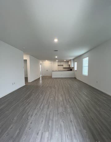 13927 Jersey Cow — photo 4