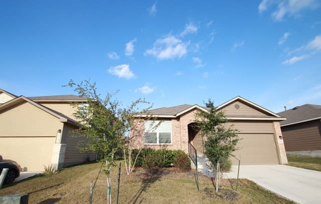 15243 Field Sparrow — photo 3