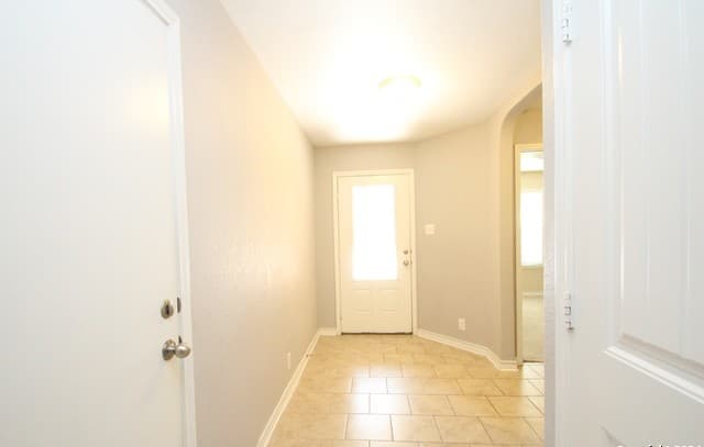 15243 Field Sparrow — photo 5