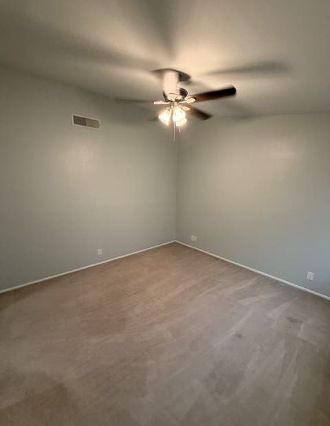 13606 Dutch Myrtle — photo 3