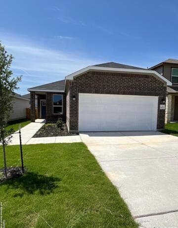 11622 Black Rose — photo 1