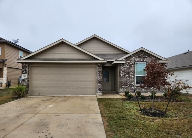 13229 Needle Grass — photo 1