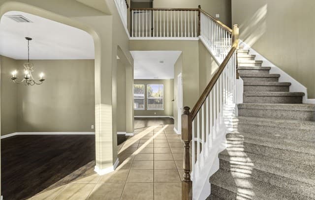 26030 Indian — photo 5