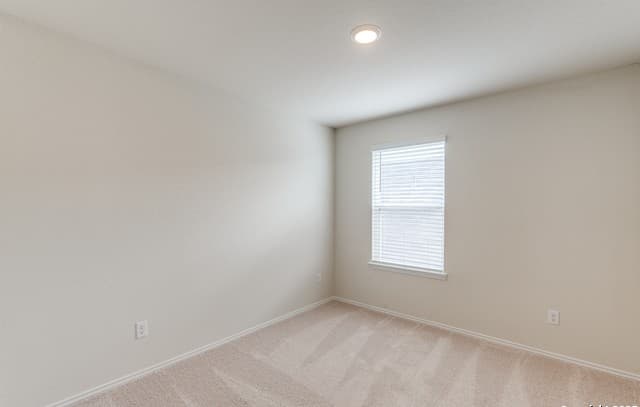 11822 Snowy River — photo 4