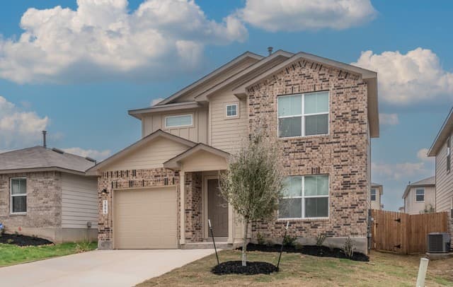 1006 Western Whipbird — photo 1