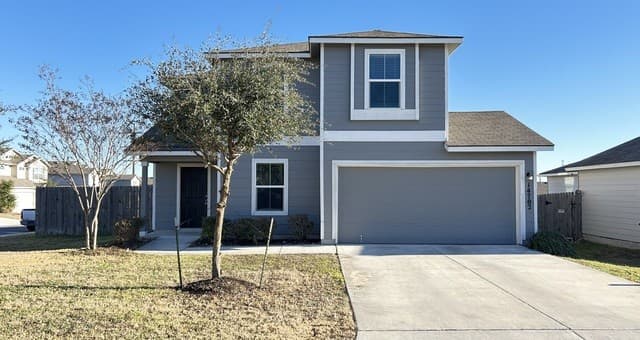 14702 Harlequin Duck