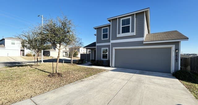 14702 Harlequin Duck — photo 2