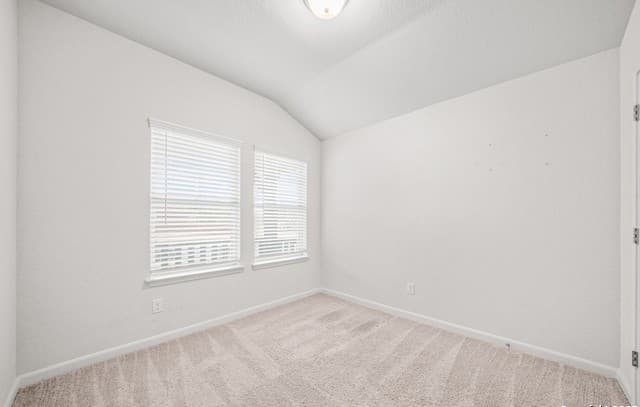 11618 Mustang — photo 4