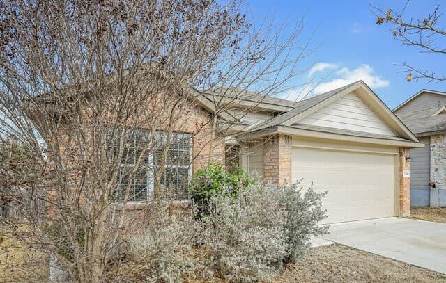 12049 Pearl Jubilee — photo 3