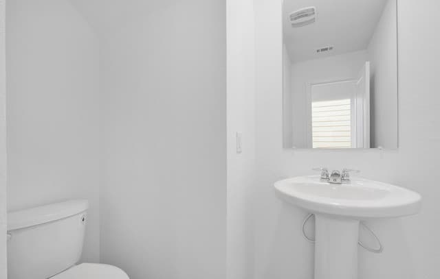 1559 Arcadian Lily — photo 4