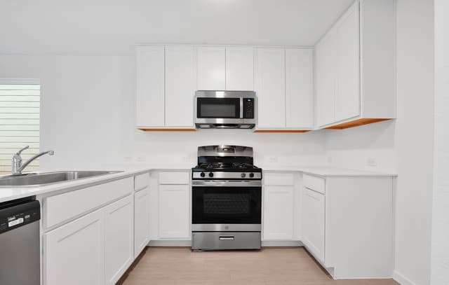 1559 Arcadian Lily — photo 5