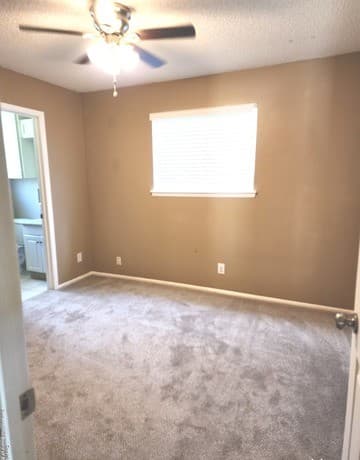 308 Nell Deane — photo 5