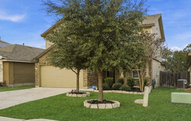 15135 Longtailed Duck — photo 3