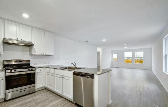 9122 Selene — photo 3