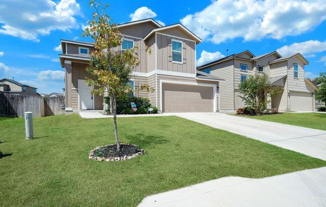 14715 Harlequin Duck — photo 2