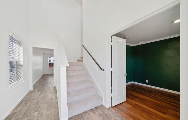 14715 Harlequin Duck — photo 5