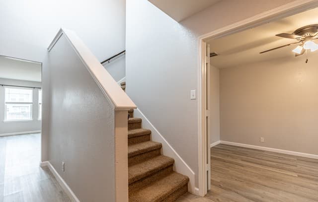 6414 Dynamic Sound — photo 3